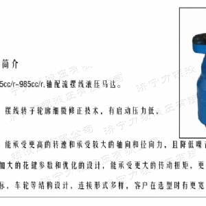 BMH系列并列油口开云手机在线登录（中国）官方网站马达