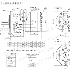 BMH系列交错油口开云手机在线登录（中国）官方网站马达